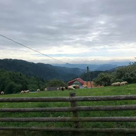 Przyslopianska Dacza *